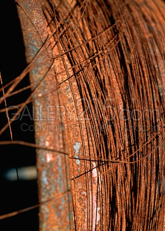 "Steel Belted Radial"